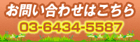 お問い合わせはこちら 03-6434-5587