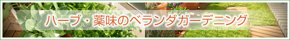 ハーブ・薬味のベランダガーデン