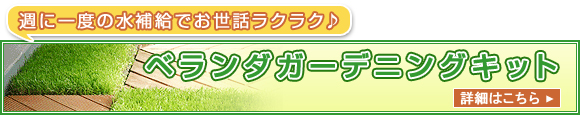 週に一度の水補給でお世話ラクラク♪ ベランダガーデニングキット 詳細はこちら>
