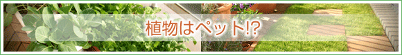 植物はペット!?