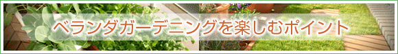 ベランダガーデニングを楽しむポイント