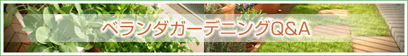 ベランダガーデニングQ&A