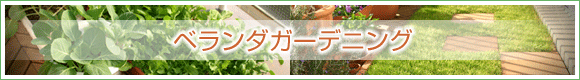 ベランダガーデニング